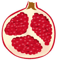 cut_fruit_pomegranate