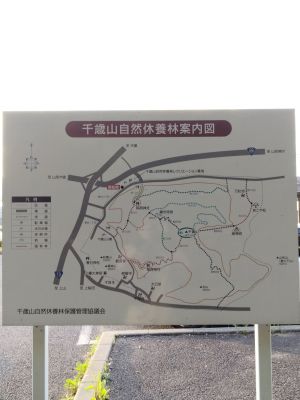 千歳山