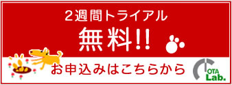 2週間無料トライアル