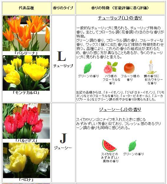 香りの提案 大田花き花の生活研究所 Archive チューリップ