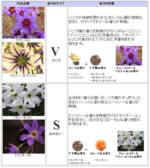 香りの提案 大田花き花の生活研究所 Archive リューココリーネ